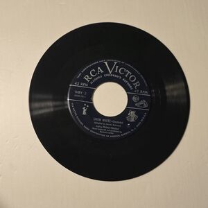 Blue Bird Vinyl Record - Black